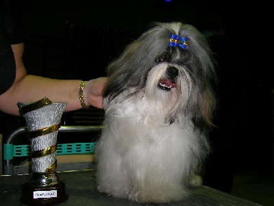 du domaine des Varennes - EXPOSITION CANINE NATIONALE DE CHARTRES   28/06/09   DHA-YAN 