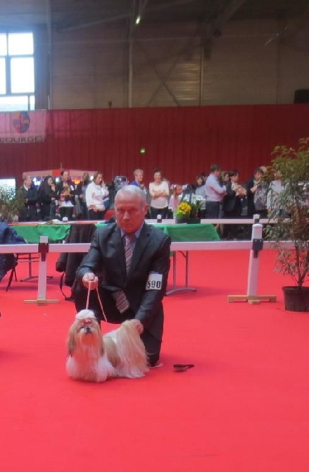 du domaine des Varennes - Exposition Canine Internationale de BOURGES 2015