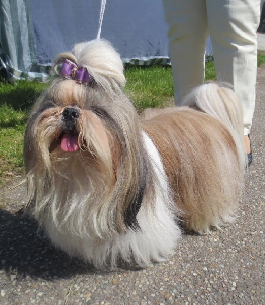 Fidji play-boy du domaine des Varennes