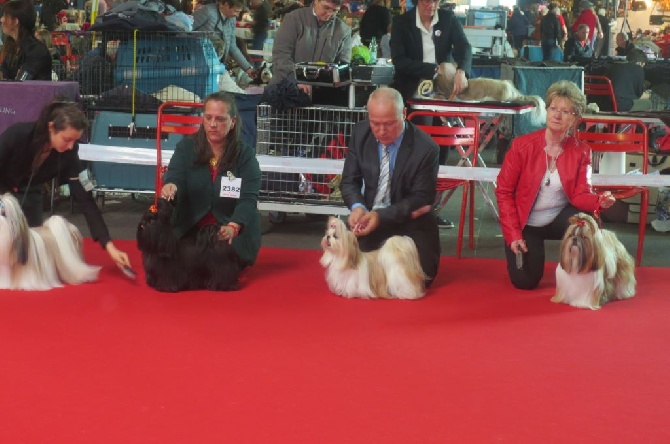 Spéciale de race Montluçon mars 2015